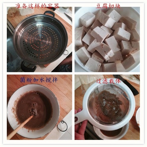 毛霉菌种小家君发酵菌毛豆腐菌粉臭豆腐霉千张霉豆渣豆腐乳曲 - 图0