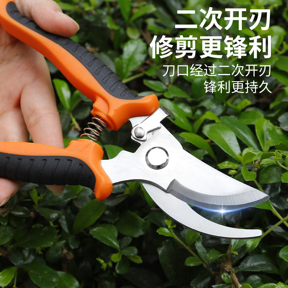 园艺剪刀修枝剪果树不锈钢花卉树枝专用修剪剪刀竹签修剪树枝剪刀,淘宝优惠券,粉丝福利购,淘宝优惠卷