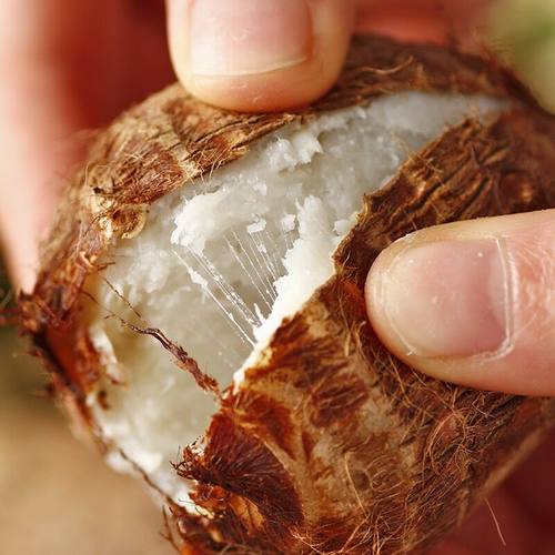 山东芋头新鲜牛奶小芋头农家现挖芋艿毛芋仔芋子软滑糯非荔蒲香芋 - 图1