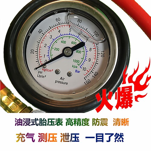 台湾FAN风牌胎压枪TG-3 气枪高精度汽车胎压表充气枪 加气表 包邮 - 图1