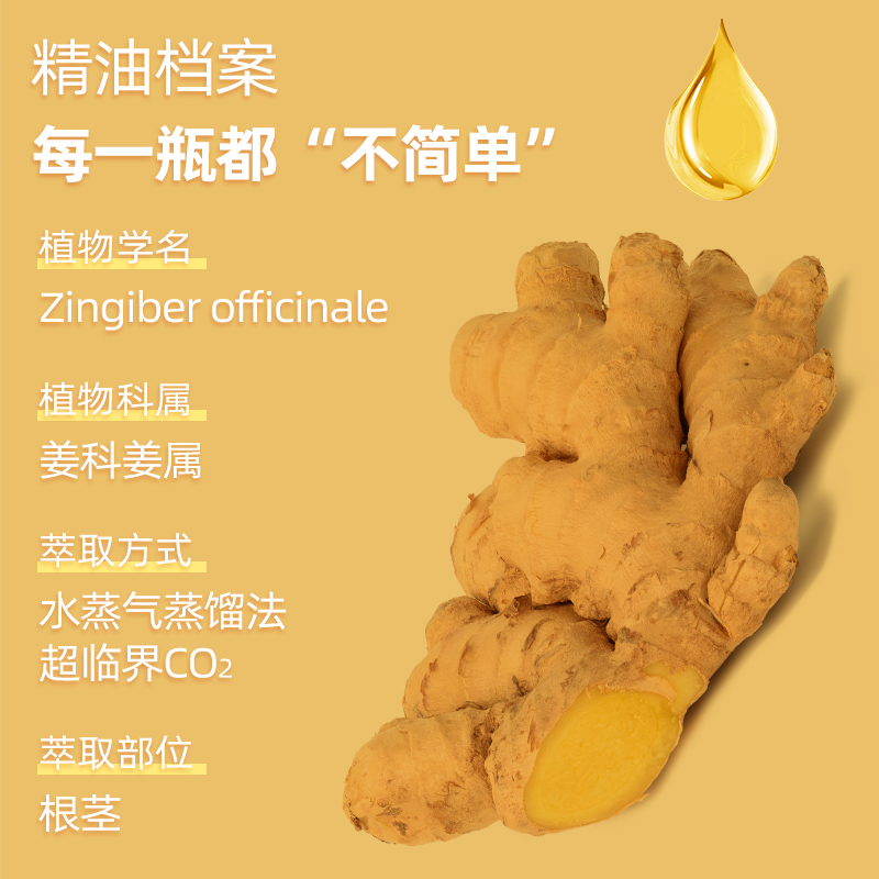 多特瑞精油15ml正品生姜 Ginger香薰驱寒祛泡脚舒缓按摩单方精油 - 图1