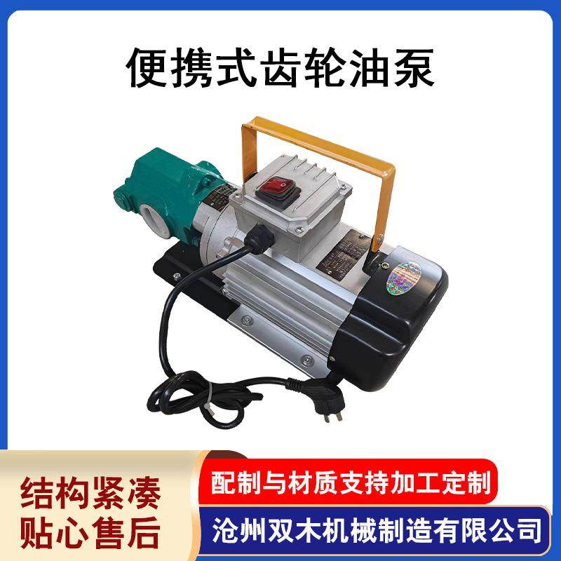 便携式齿轮油泵小型电动抽油泵柴油机油自吸齿轮泵小型不锈钢泵 - 图1