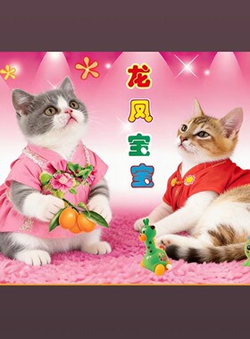 仓鼠龙凤宝宝宠物墙画贴画来图定制海报老式宝宝贴纸卧室挂画猫咪