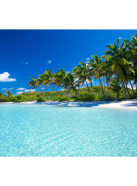 大海风景画贴纸背景墙壁装饰画海水蓝天白云椰树的海浪太阳海滩边