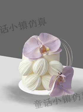高级氛围感蝴蝶兰花卉女神网红蛋糕模型仿真2026新款网红假样品