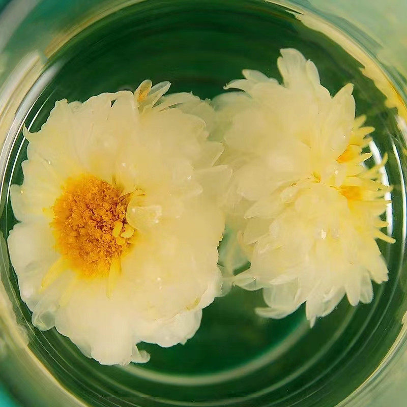 【新花】菊佑滁州贡菊花茶特产过年送礼高档陶瓷礼盒滁菊草本茶叶