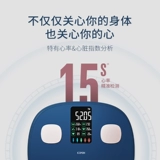 Масштабная масштаба масштаба масштаба Вальле. Электронные масштабы.