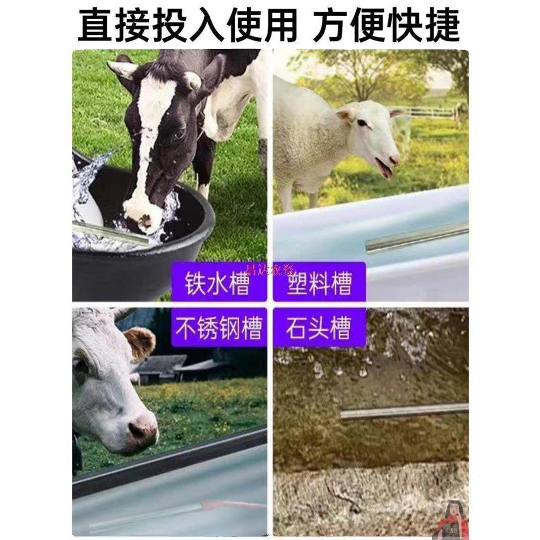牛羊热水器牛槽加热棒牛羊饮水槽恒温管加热快器水箱控畜牧养殖场 - 图2