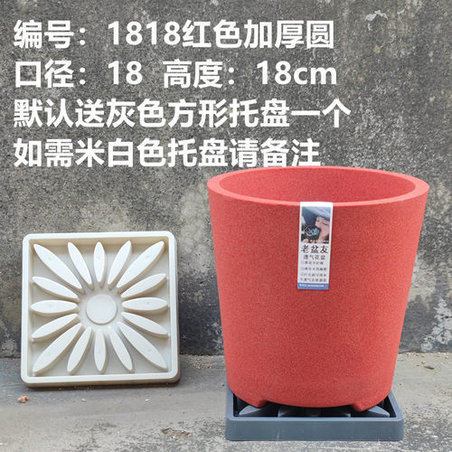 老盆友1818透气花盆XTOU会呼吸的兰花老桩多孔陶瓷红陶紫砂君子兰 - 图3