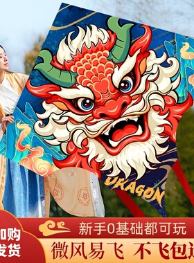 龙风筝大人专用儿童微风易飞龙形2025新款大型高端成人潍坊初学者
