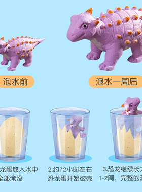 泡水恐龙蛋孵化蛋儿童变长大膨胀公仔男孩玩具蛋套装仿真模型女孩