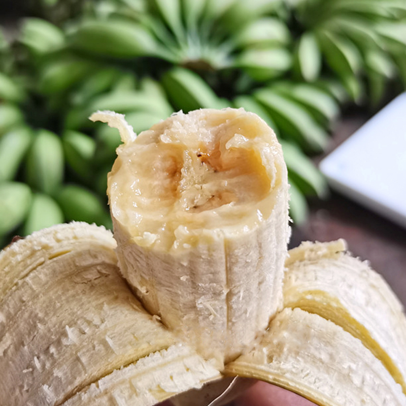 包邮广东高州芭蕉大蕉plantain新鲜水果无催熟剂产地直发 4.5斤-图0