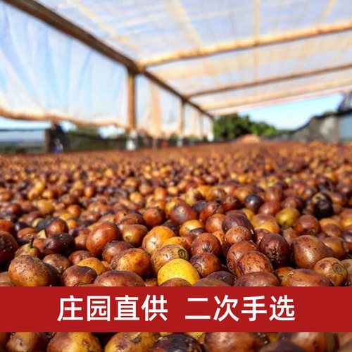 星门 买1送1巴西白草庄园COE日晒手冲精品黑咖啡豆粉现磨新鲜烘焙 - 图0
