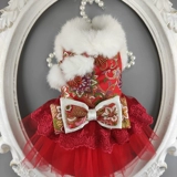 Частная рука для домашних животных -Сделано гексагональное цветочное питомец Cheongsam Teddy Mear Beauty Cat Dog Dog Одежда Осенняя и зимняя тепло