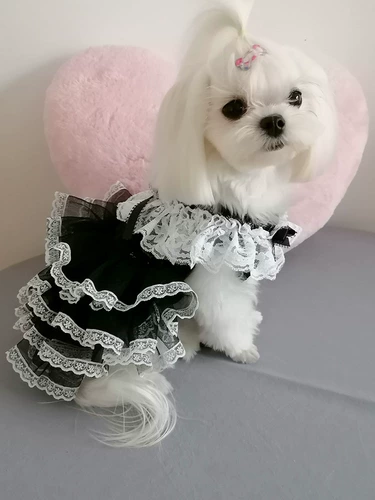 Наряд маленькой принцессы, тонкая летняя одежда, юбка, юбка-пачка