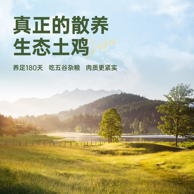 肌肉小王子旗舰店肌肉小王子土鸡农家散养鸡胸肉健身代餐即食轻零食高蛋白低脂食品0