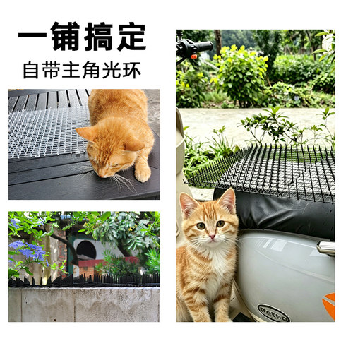 阳台室内花盆猫咪防猫抓防抓户外阳台驱赶塑料钉防猫网刺垫防鸟刺 - 图3