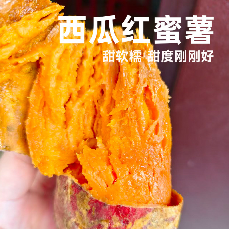 红薯红心西瓜红糖心蜜薯粉糯香甜烤地瓜新鲜农家现挖沙地番薯山芋