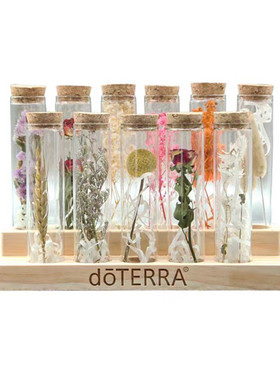 现代花艺阳台样板间书房桌面摆件饰品植物干花玻璃罩创意工具套装