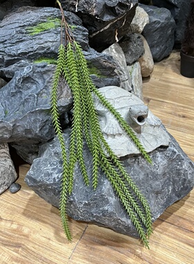 丝苇线条设计造景仿真绿植装饰屋顶装饰垂吊植物多肉蕨绿色水草
