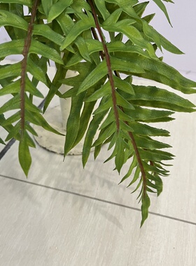 仿真秋色波斯草绿植把束厥草