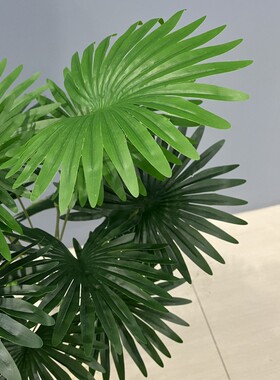 仿真扇葵蒲葵把束绿植