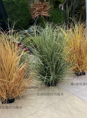秋枯草堆造景寝室系草丛