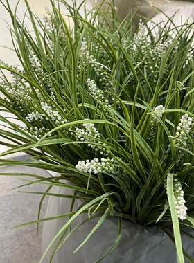 仿真水稻苗麦苗假秧苗春草塑料小草青草绿植布景装饰演出道具
