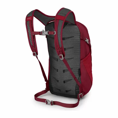 Spot Eagle Osprey Daylite Sunlight 13L City Daily User Workers Radkpacks могут быть зарегистрированы