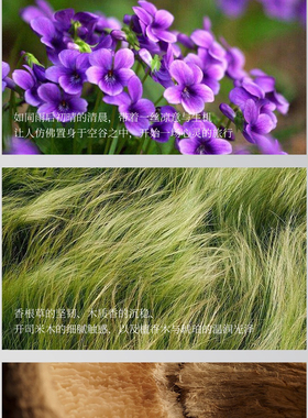 【空谷之雨  EDP版 宝某丽家】【平替】慕泷清冷草木高级香水50ml