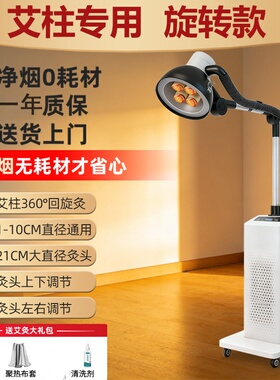 小型三元催化净烟仪艾灸排烟一体