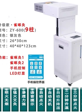 无烟高温三元催化艾灸仪大唐艾神