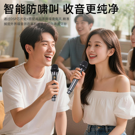 Shanshui Wireless Charging Microphone Home Karaoke KTV Audio Home Outdoor Stage Performance Singing Universal Microphone