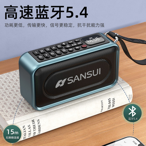 山水蓝牙音箱家用大音量无线便携式户外小音响高音质超重低音炮 - 图0
