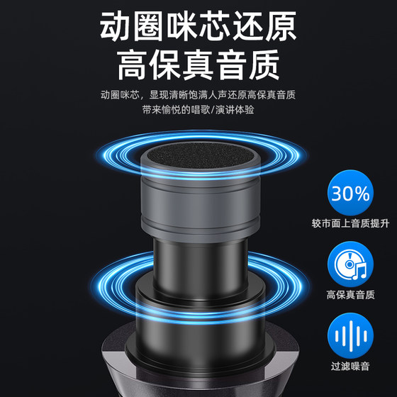 Shanshui Wireless Charging Microphone Home Karaoke KTV Audio Home Outdoor Stage Performance Singing Universal Microphone