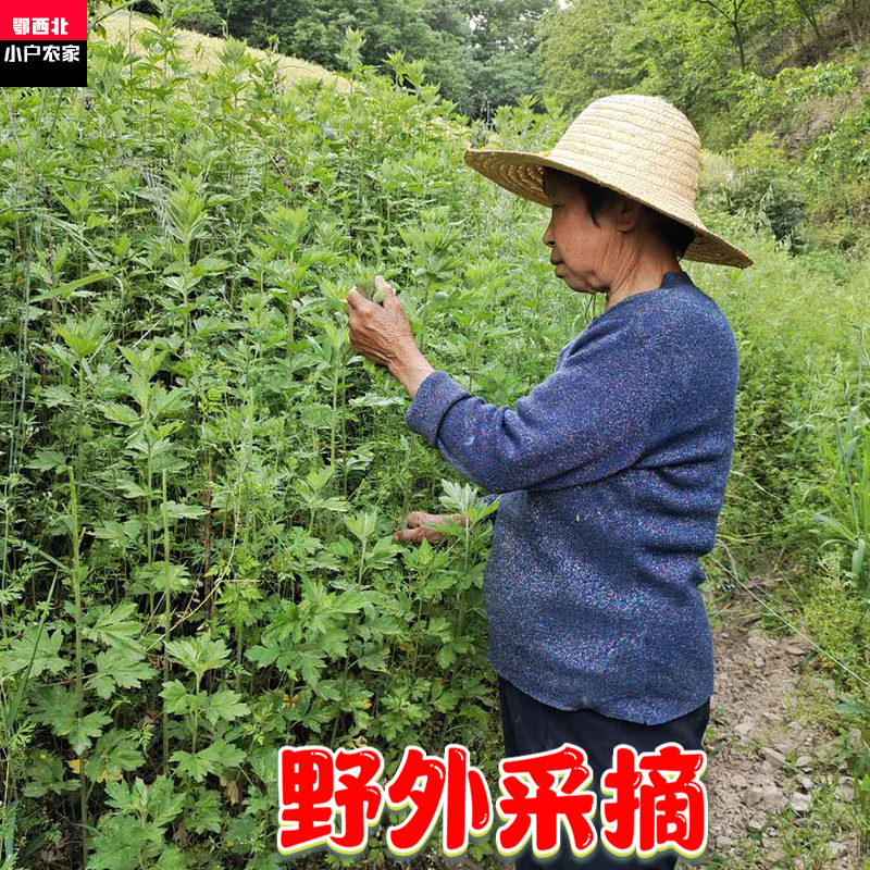 湖北武当野生艾草叶纯艾叶无杆干艾草坐月子家用泡脚药包祛湿散装 - 图2