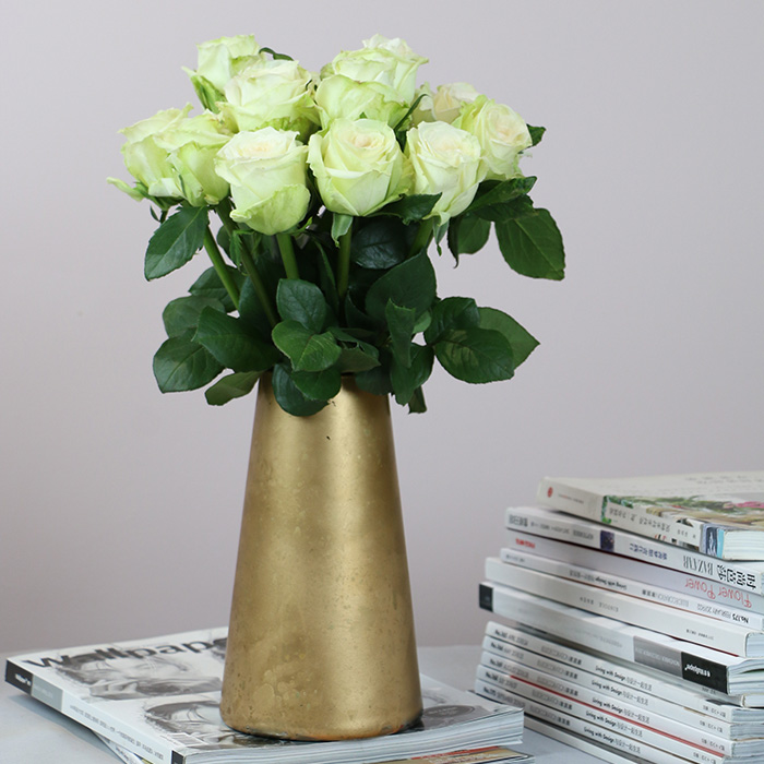 香水玫瑰花苗盆栽白荔枝大花浓香阳台观花园植物四季好养花卉勤花 - 图2