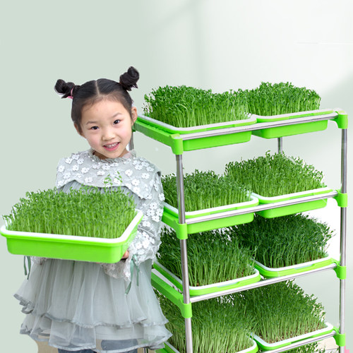 豆芽发芽盆无土栽培水培蔬菜设备豆苗芽苗菜育苗托盘种植架盆家用 - 图0