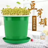 芽菜种植 新人首单立减十元 2021年9月 淘宝海外