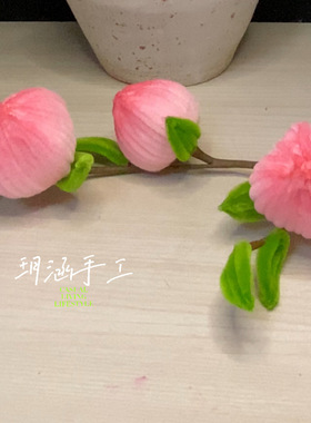 加密扭扭棒桃子DIY材料包