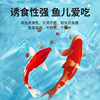 Fish food goldfish koi fish feed small particle fish food tropical ornamental fish household small goldfish special floating color
