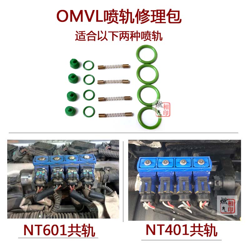 CNG喷轨修理包NT401双燃料车爱丽舍新悦动OVML喷轨修理包 - 图1