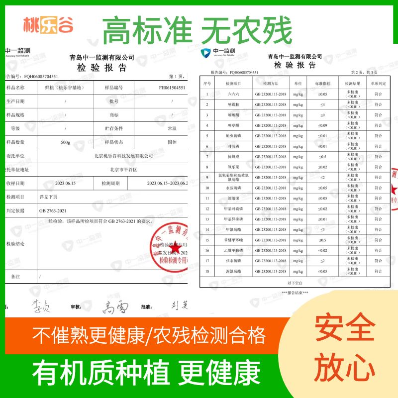 （断货）北京平谷冰糖黄油蟠桃软甜爆汁儿软甜净重超4斤-图1