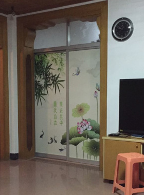 窗户贴纸小樱逃玻璃贴定制荷花