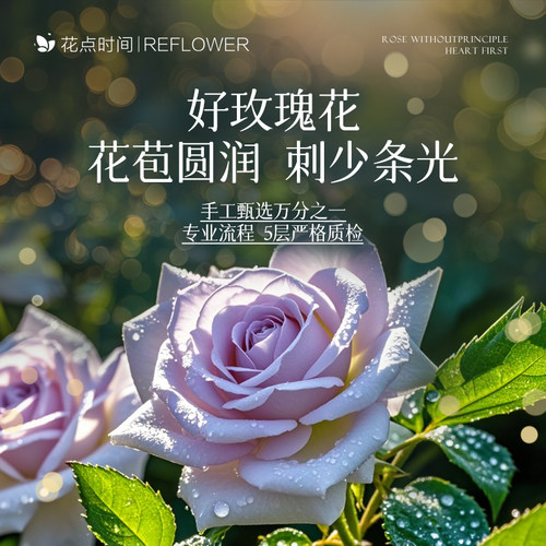 花点时间海洋之心紫色玫瑰花鲜花送女友情人节礼物基地直发束水养 - 图0