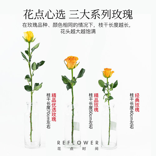 A级玫瑰花鲜花梦金鹏云南基地直发百合花卉家用鲜切花束弗洛伊德A - 图1