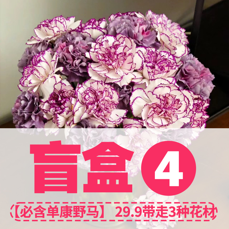 【鲜花盲盒】花点时间春季鲜花玫瑰花束洋牡丹洋兰康乃馨六出云南 - 图3