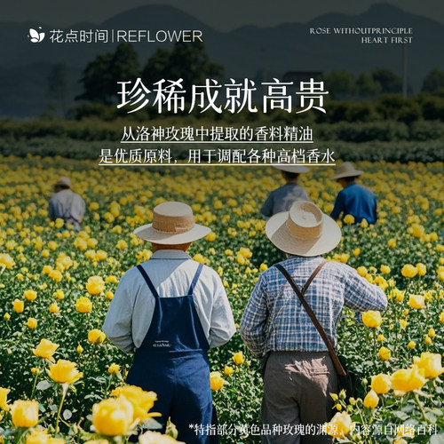 花点时间黄玫瑰鲜花云南基地直发水养家用瓶插室内品质鲜切花束送 - 图2