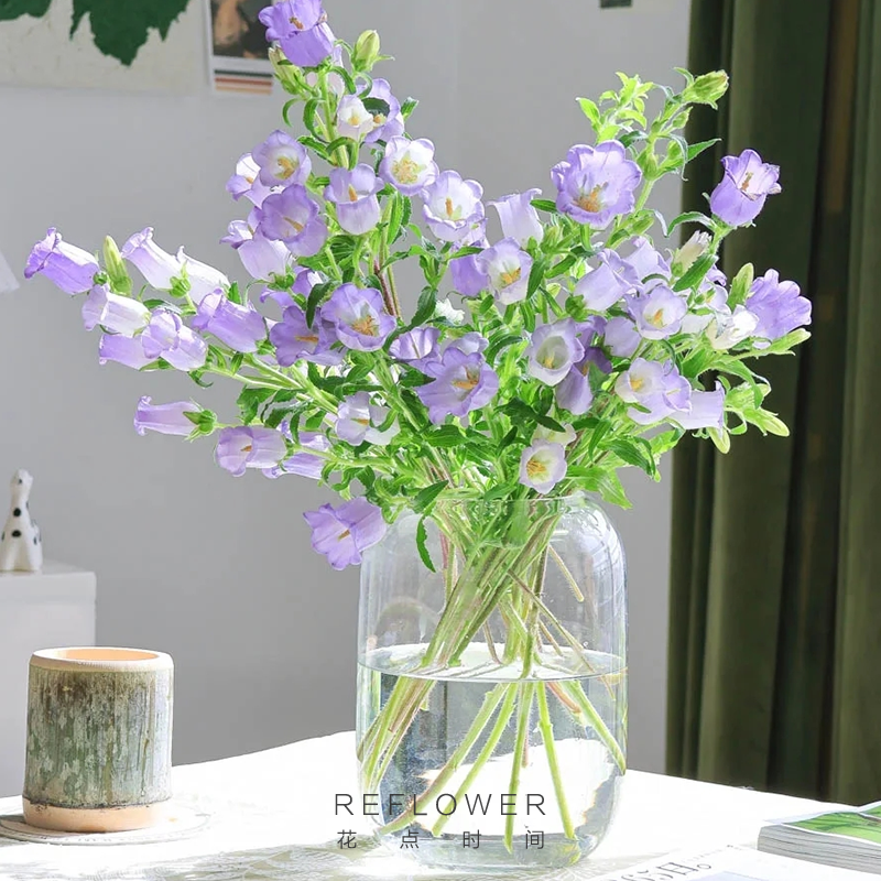 花点时间风铃花草鲜花紫色粉色云南直发花束插瓶水养铃兰鲜切花,淘宝优惠券,粉丝福利购,淘宝优惠卷