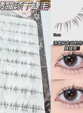 自然小猫须慵懒下睫毛仿真斜飞假睫毛单簇新手淡颜漫画眼睫毛新手